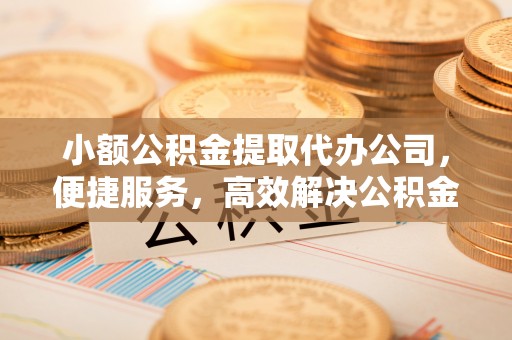 若羌小额公积金提取代办公司，便捷服务，高效解决公积金提取难题