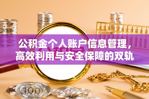 若羌公积金个人账户信息管理，高效利用与安全保障的双轨并行