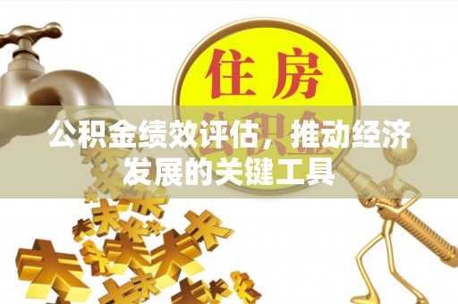 若羌公积金绩效评估，推动经济发展的关键工具
