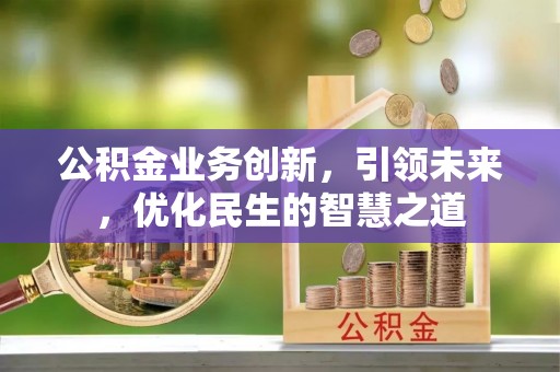 若羌公积金业务创新，引领未来，优化民生的智慧之道