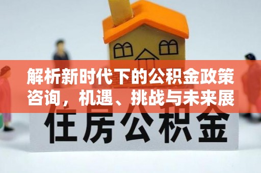 若羌解析新时代下的公积金政策咨询，机遇、挑战与未来展望