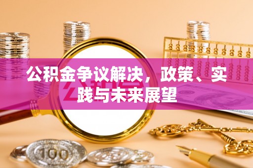 若羌公积金争议解决，政策、实践与未来展望