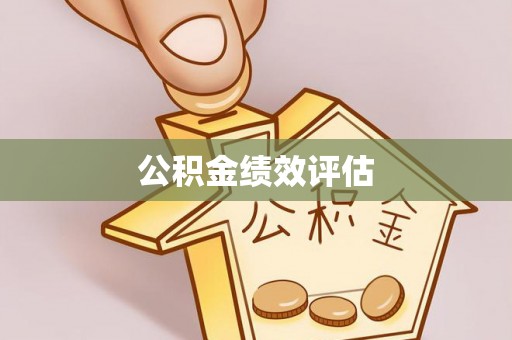 若羌公积金绩效评估