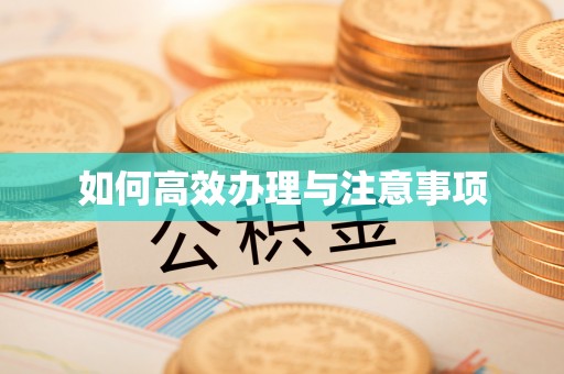 若羌如何高效办理与注意事项