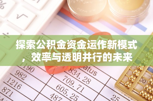 若羌探索公积金资金运作新模式，效率与透明并行的未来