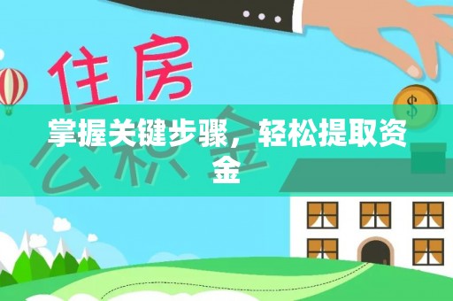 若羌掌握关键步骤，轻松提取资金