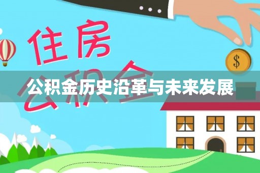 若羌公积金历史沿革与未来发展