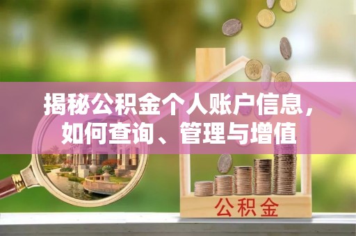 若羌揭秘公积金个人账户信息，如何查询、管理与增值
