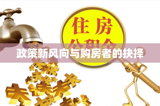 若羌政策新风向与购房者的抉择