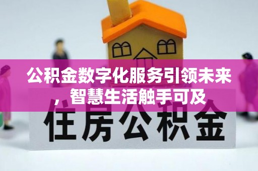 若羌公积金数字化服务引领未来，智慧生活触手可及