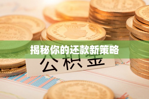 若羌揭秘你的还款新策略