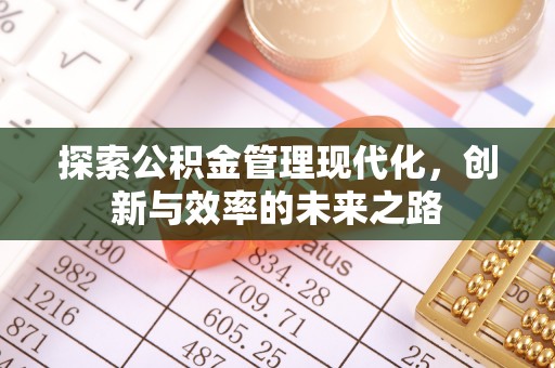 若羌探索公积金管理现代化，创新与效率的未来之路