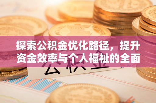 若羌探索公积金优化路径，提升资金效率与个人福祉的全面解析