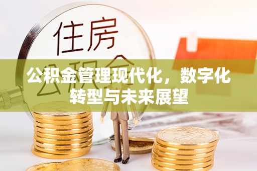 若羌公积金管理现代化，数字化转型与未来展望