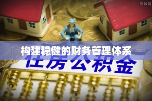 若羌构建稳健的财务管理体系