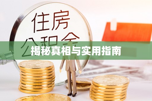 若羌揭秘真相与实用指南