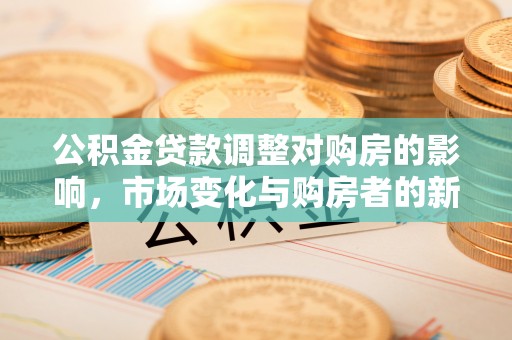 若羌公积金贷款调整对购房的影响，市场变化与购房者的新选择