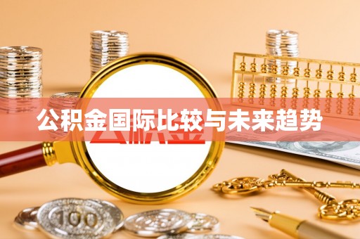 若羌公积金国际比较与未来趋势
