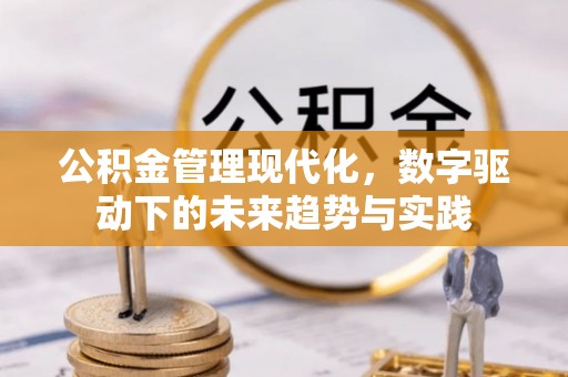 若羌公积金管理现代化，数字驱动下的未来趋势与实践