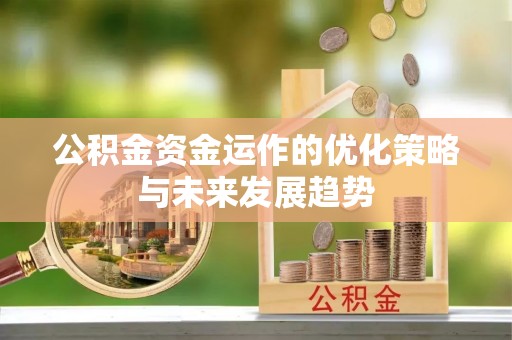 若羌公积金资金运作的优化策略与未来发展趋势