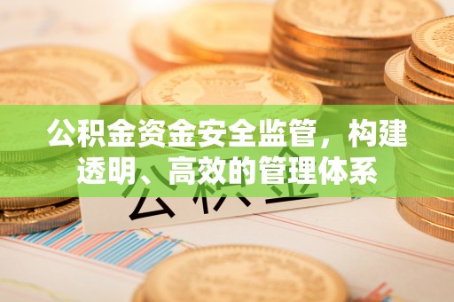 若羌公积金资金安全监管，构建透明、高效的管理体系