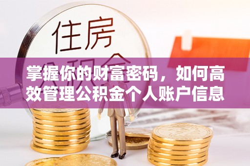 若羌掌握你的财富密码，如何高效管理公积金个人账户信息