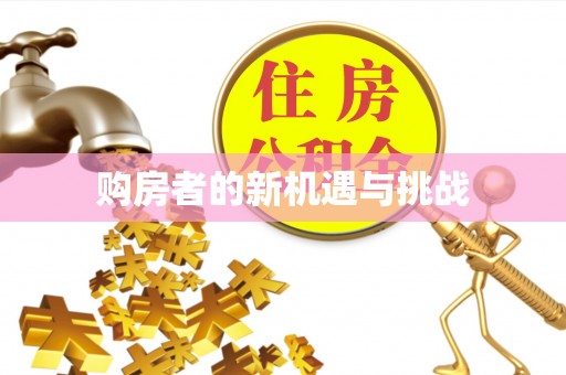 若羌购房者的新机遇与挑战