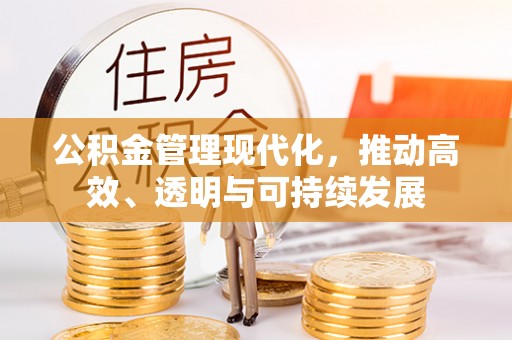 若羌公积金管理现代化，推动高效、透明与可持续发展