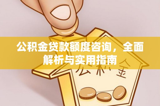若羌公积金贷款额度咨询，全面解析与实用指南