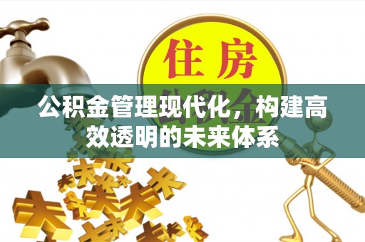 若羌公积金管理现代化，构建高效透明的未来体系