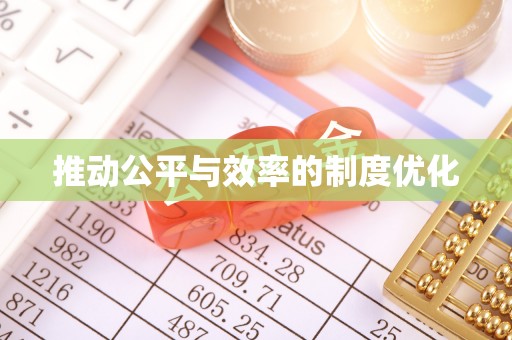 若羌推动公平与效率的制度优化