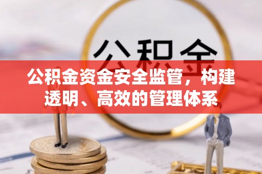 若羌公积金资金安全监管，构建透明、高效的管理体系