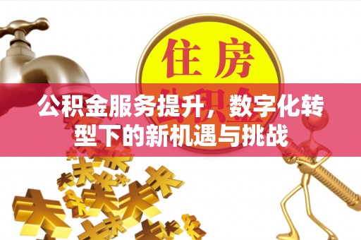 若羌公积金服务提升，数字化转型下的新机遇与挑战