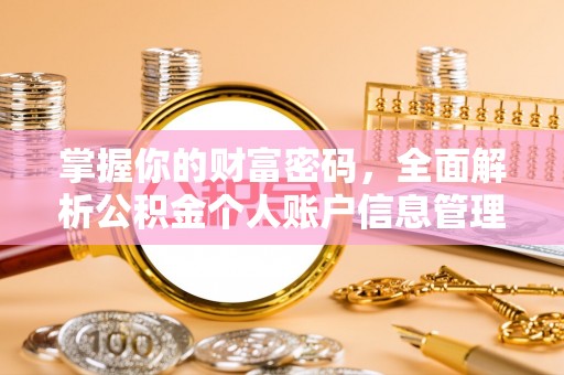 若羌掌握你的财富密码，全面解析公积金个人账户信息管理与优化