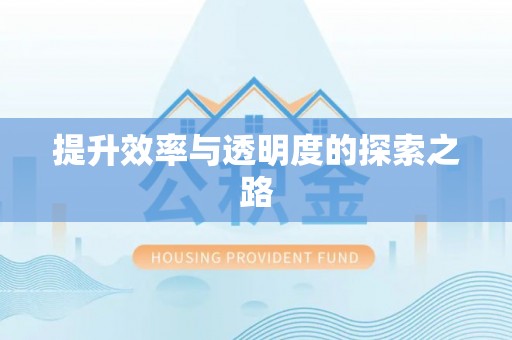 若羌提升效率与透明度的探索之路