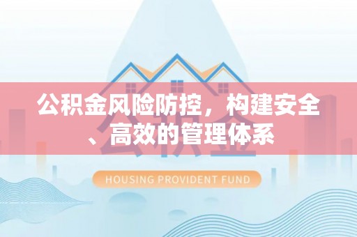若羌公积金风险防控，构建安全、高效的管理体系