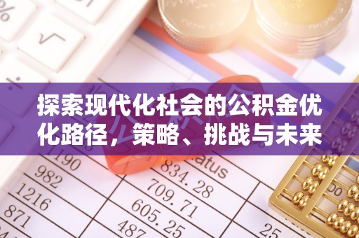 若羌探索现代化社会的公积金优化路径，策略、挑战与未来展望