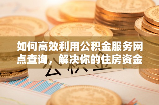 若羌如何高效利用公积金服务网点查询，解决你的住房资金难题