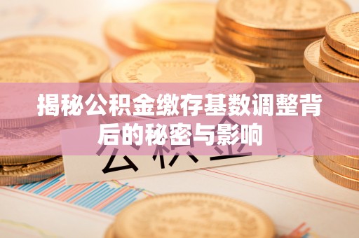 若羌揭秘公积金缴存基数调整背后的秘密与影响