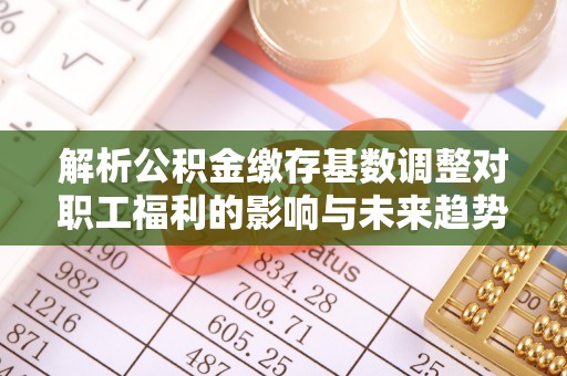 若羌解析公积金缴存基数调整对职工福利的影响与未来趋势