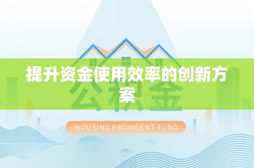 若羌提升资金使用效率的创新方案