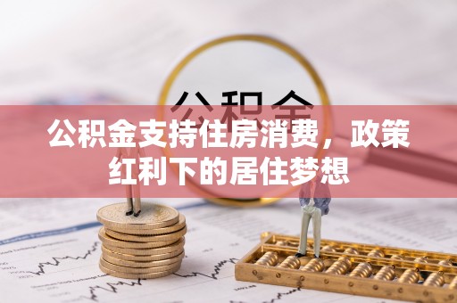 若羌公积金支持住房消费，政策红利下的居住梦想