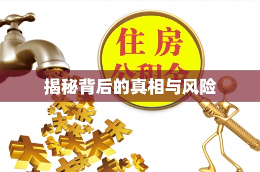 若羌揭秘背后的真相与风险
