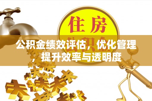 若羌公积金绩效评估，优化管理，提升效率与透明度