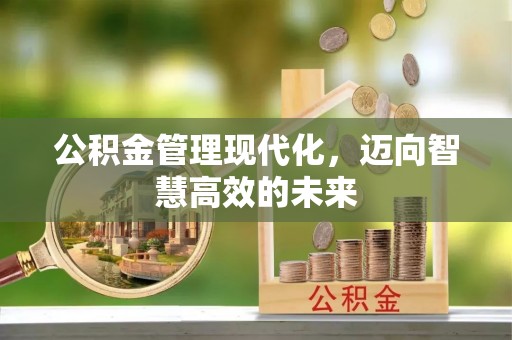 若羌公积金管理现代化，迈向智慧高效的未来