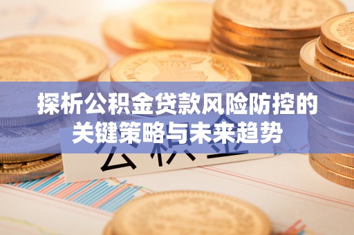 若羌探析公积金贷款风险防控的关键策略与未来趋势