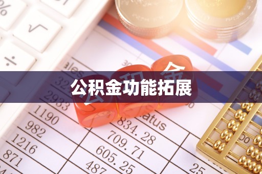 若羌公积金功能拓展