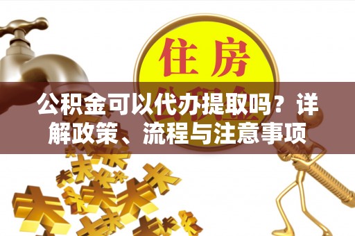 若羌公积金可以代办提取吗？详解政策、流程与注意事项