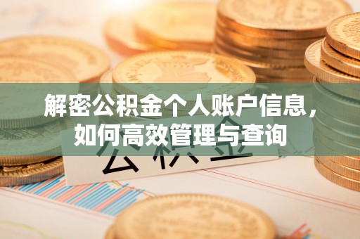 若羌解密公积金个人账户信息，如何高效管理与查询