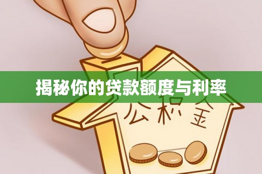若羌揭秘你的贷款额度与利率